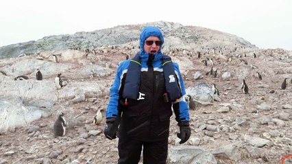 El 'O sole mio' es el terror de los pingüinos