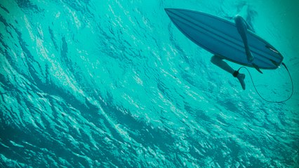Bande annonce Instinct de survie - The Shallows VF