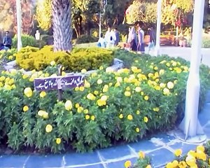 Beautiful Islamabad Daman e Koh  pakistan  part 6