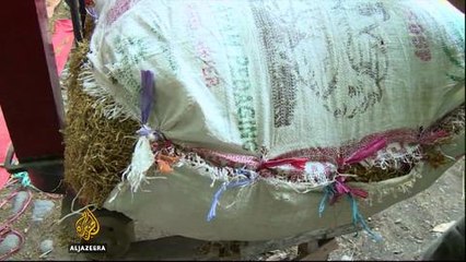 Indonesia's tobacco industry 'using child labourers'