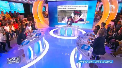 Morandinisante.com dans TPMP hier soir