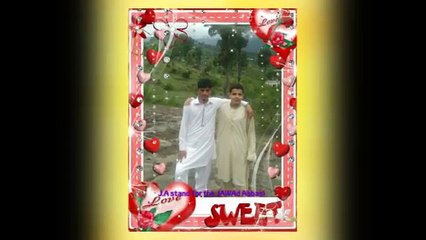 Plz Feedback