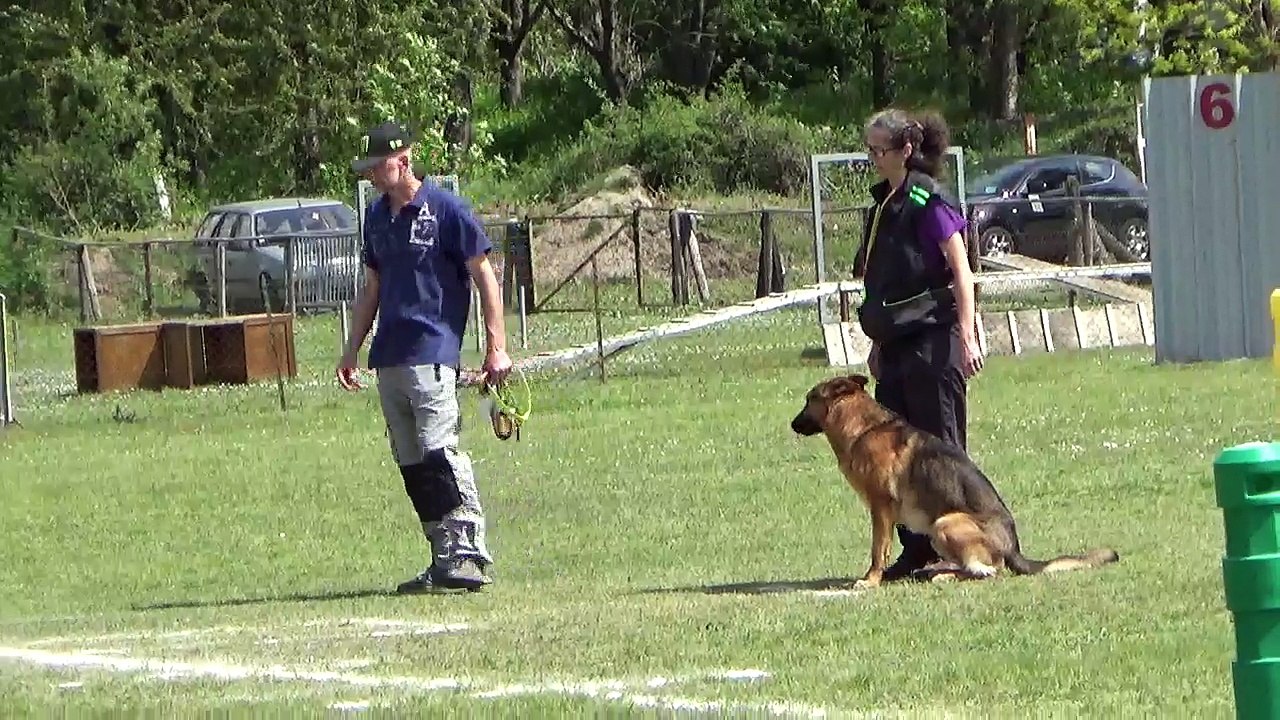 rapport d'objet à l'insu