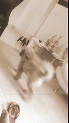 El rap de fernanfloo.