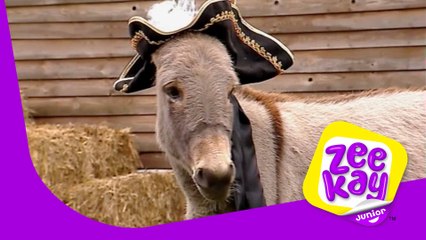 Quiz Wizard | Big Barn Farm | ZeeKay Junior
