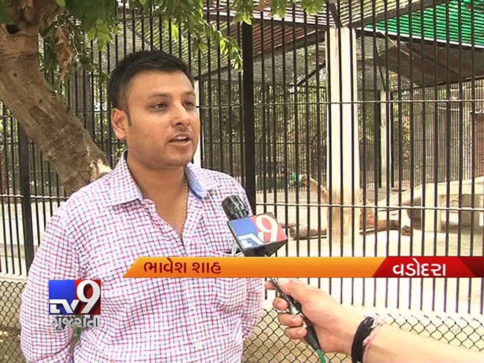 Zoo takes extra care of animals in this heat, V...