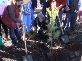 Tahir Elçi Kent Ormanı askeriyeye devrediliyor