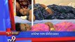 Gujarat Fatafat : 11-05-2016 - Tv9 Gujarati