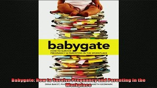 FREE DOWNLOAD  Babygate How to Survive Pregnancy and Parenting in the Workplace  FREE BOOOK ONLINE