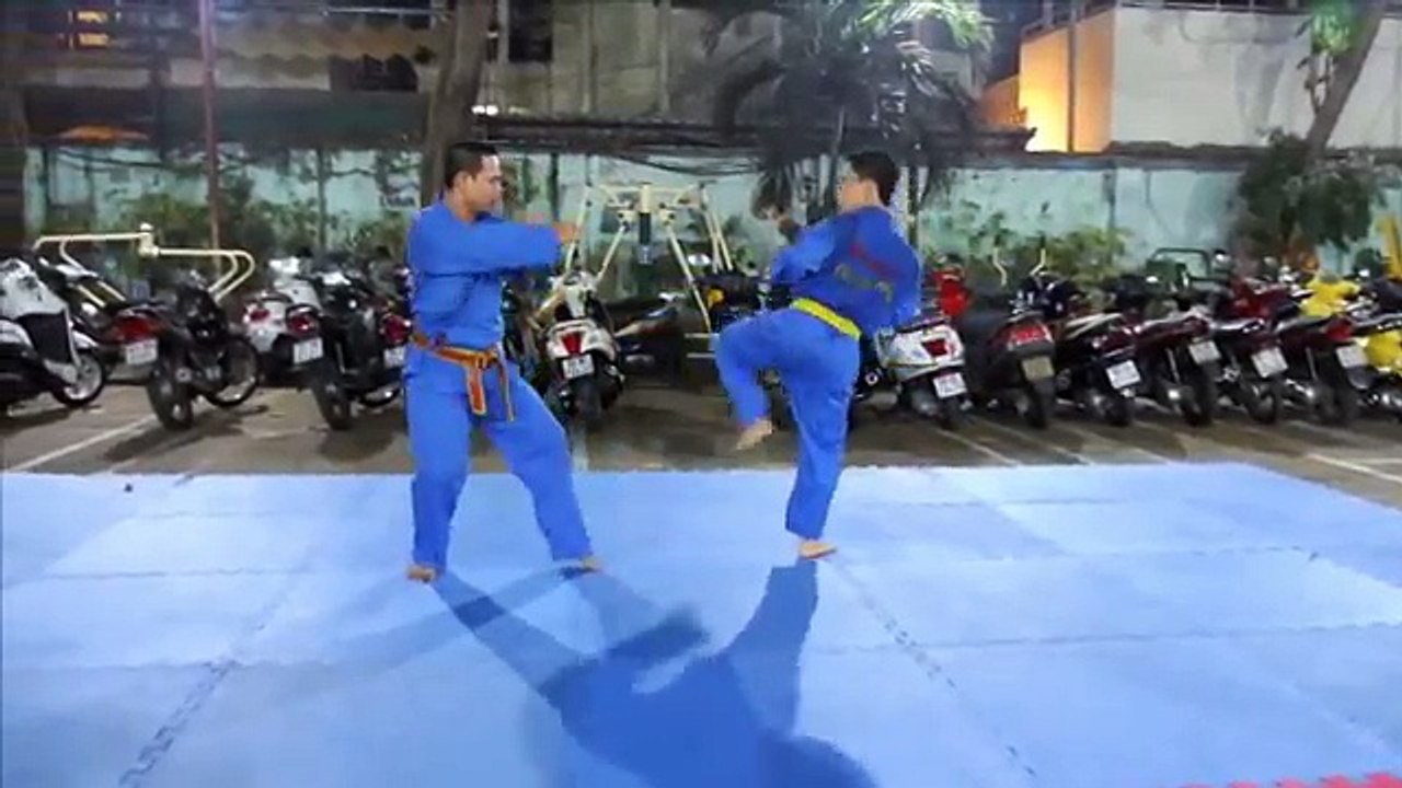 LIÊN HOÀN CHIẾN LƯỢC 1- tieu luan vo hoc 2016
