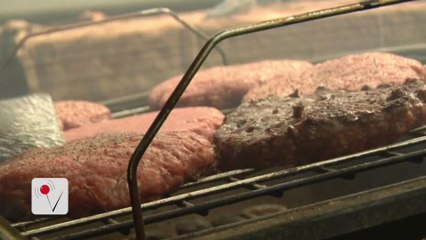 Shocking Findings: Your Burger Might Contain Rat DNA 🥩