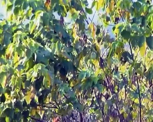 Pakistan Monument Islamabad 7