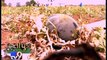 DHARTIPUTRA: Watermelon Sweetens Farmers' Life - Tv9 Gujarati
