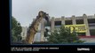 Cité de la Castellane : L'immeuble où a grandi Zinedine Zidane détruit à Marseille (Vidéo)