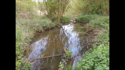 Balades des bourdons - 7 mai 2016