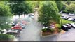 Large swarm of bees in a shopping centre carpark