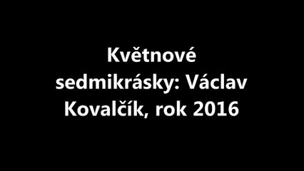 Květnové sedmikrásky: Václav Kovalčík, rok 2016