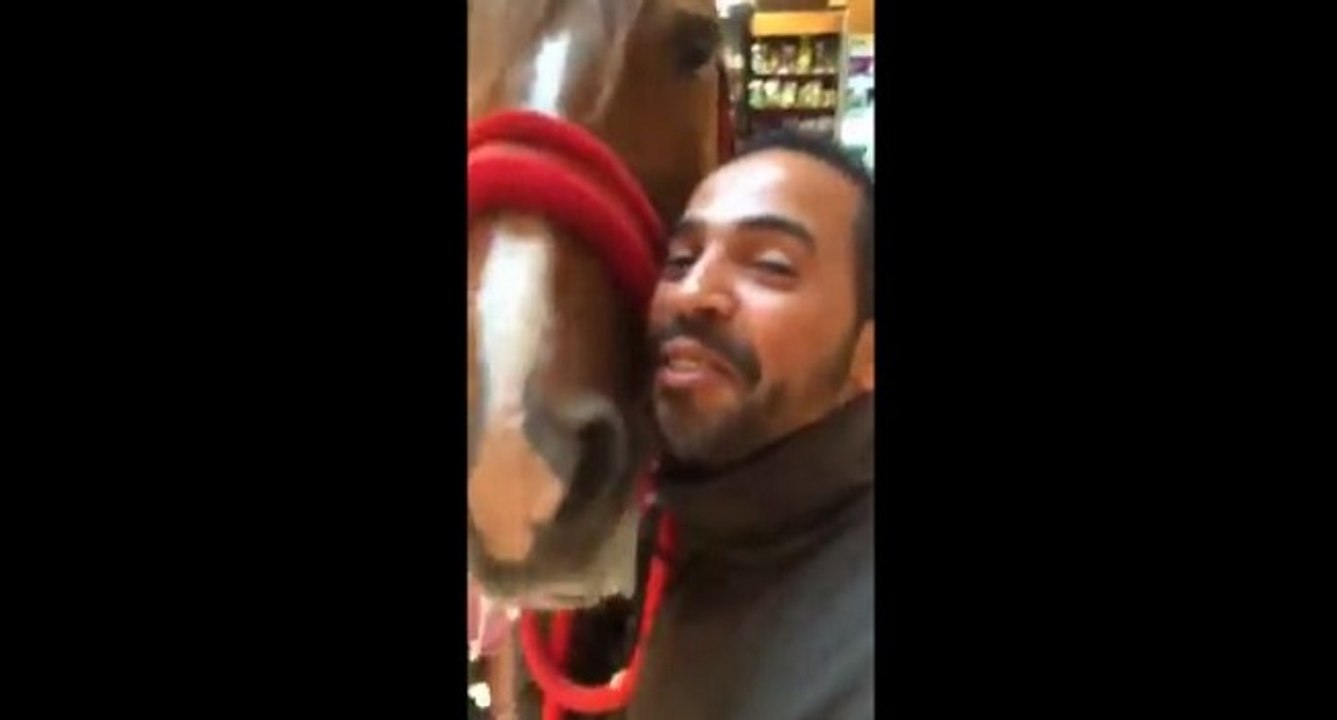 Il emmène son cheval manger des pommes dans un Super U