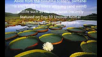 Ten Natural world wonders little-Known: