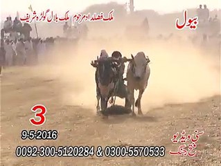 T.A.M.A.S.H.A 2rd time --- Malik Fazaldad marhoom