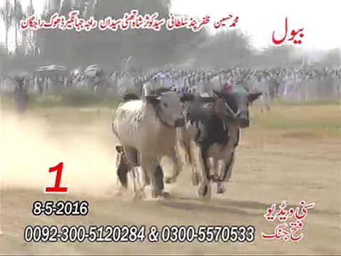 T.A.M.A.S.H.A 1st time at Beval