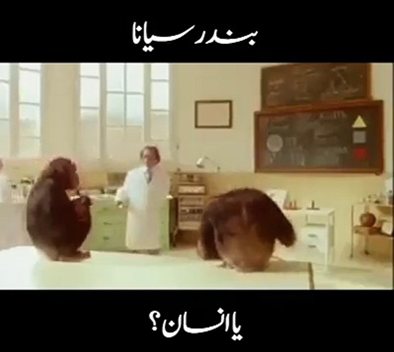 Monkey Things
