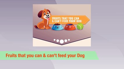 What Fruits Are Safe or Unsafe For Your Dog?