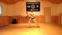 Seishinkan Shorinji ryu, Hervé Leydier