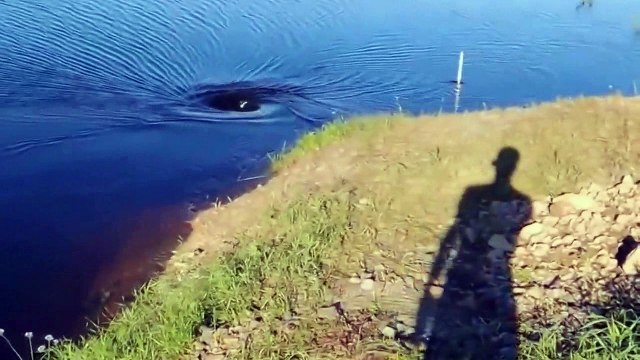 Что это может быть В десяти километрах от реки зея ( a whirlpool in a river )