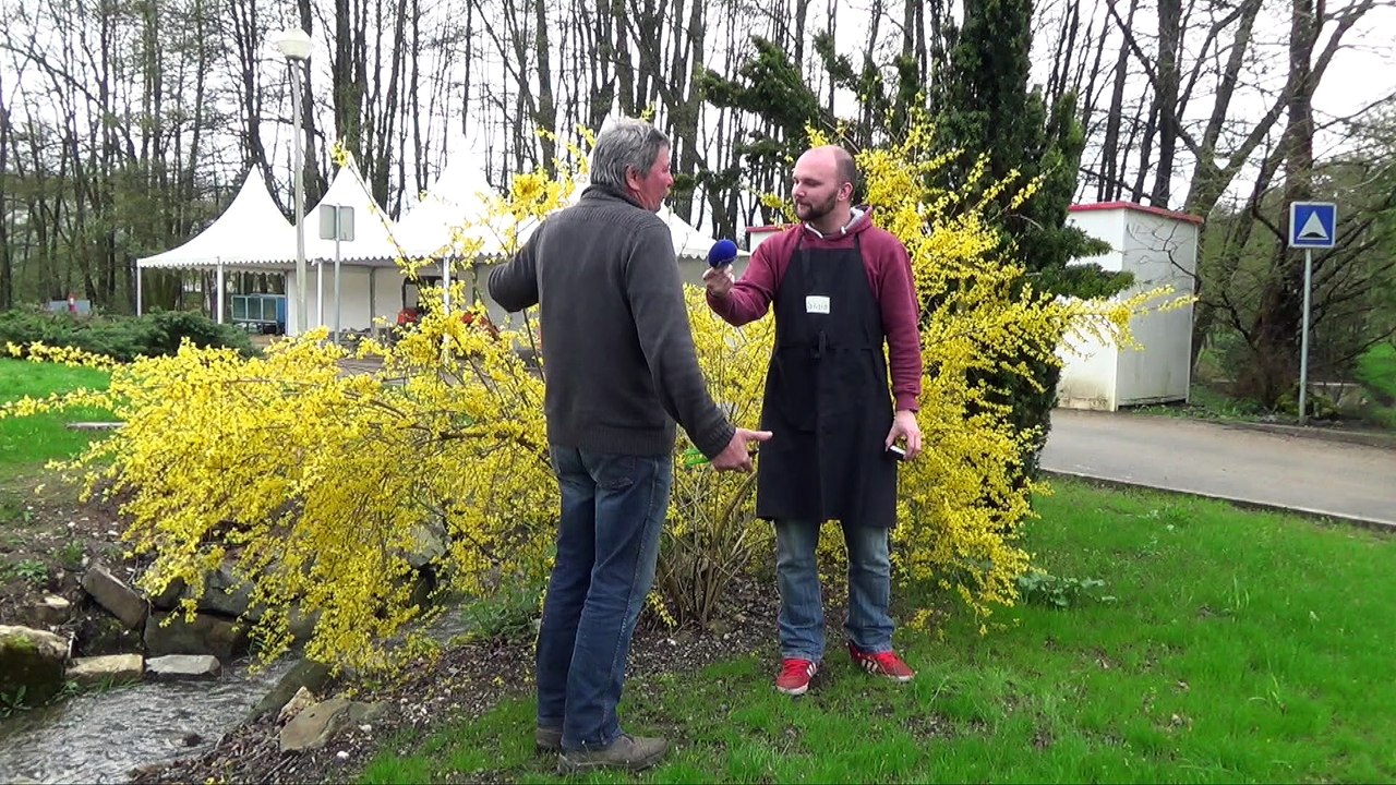 Les Experts jardin entretiennent leurs arbustes