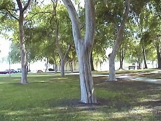 Rejected Slim Jim Commercial