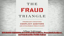 READ book  THE FRAUD TRIANGLE Fraudulent Executives Complicit Auditors and Intolerable Public Injury  FREE BOOOK ONLINE