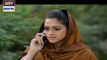 Shehzada Saleem Episode 67 on Ary Digital in High Quality 11th May 2016