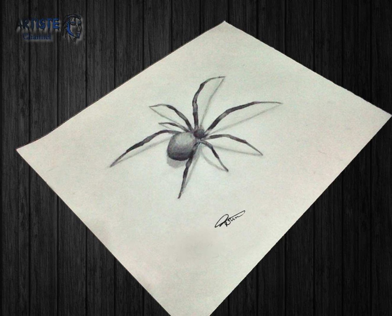 how to drow a spider تعلم رسم عنكبوت ثلاتية الابعاد بطريقة
