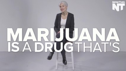 Jill Stein: Green Party Candidate Talks Green