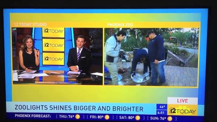 News Be Funny Videos 2015 BEST NEWS BLOOPERS NOVEMBER