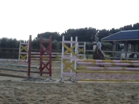 Ilot Gourin, Ecuries du bout du monde