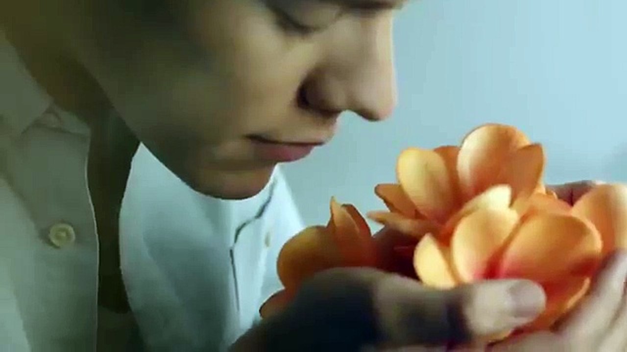 Perfume One Direction