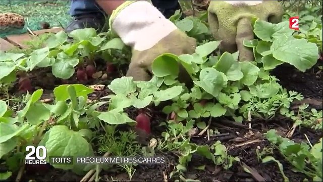 Urbanisme : aménager son toit est devenu tendance