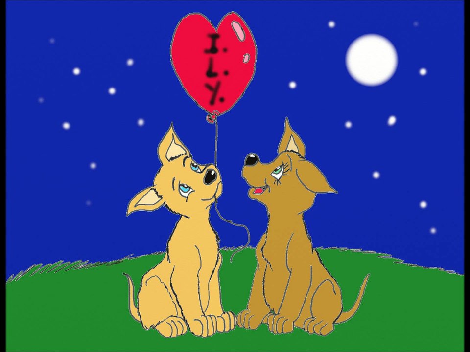 La Mejor Manera de decir TE AMO