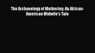 PDF The Archaeology of Mothering: An African-American Midwife's Tale  EBook