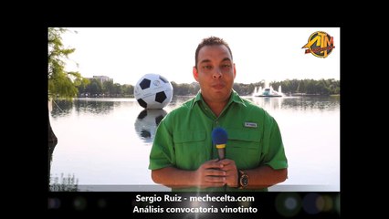 Sergio Ruiz - Análisis vinotinto