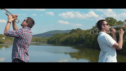 S.A.R.S. & Nicim Izazvan - 2016 - Glupost