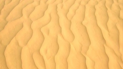 4L TROPHY 2016 - #120 Les Gaz'L du Nord