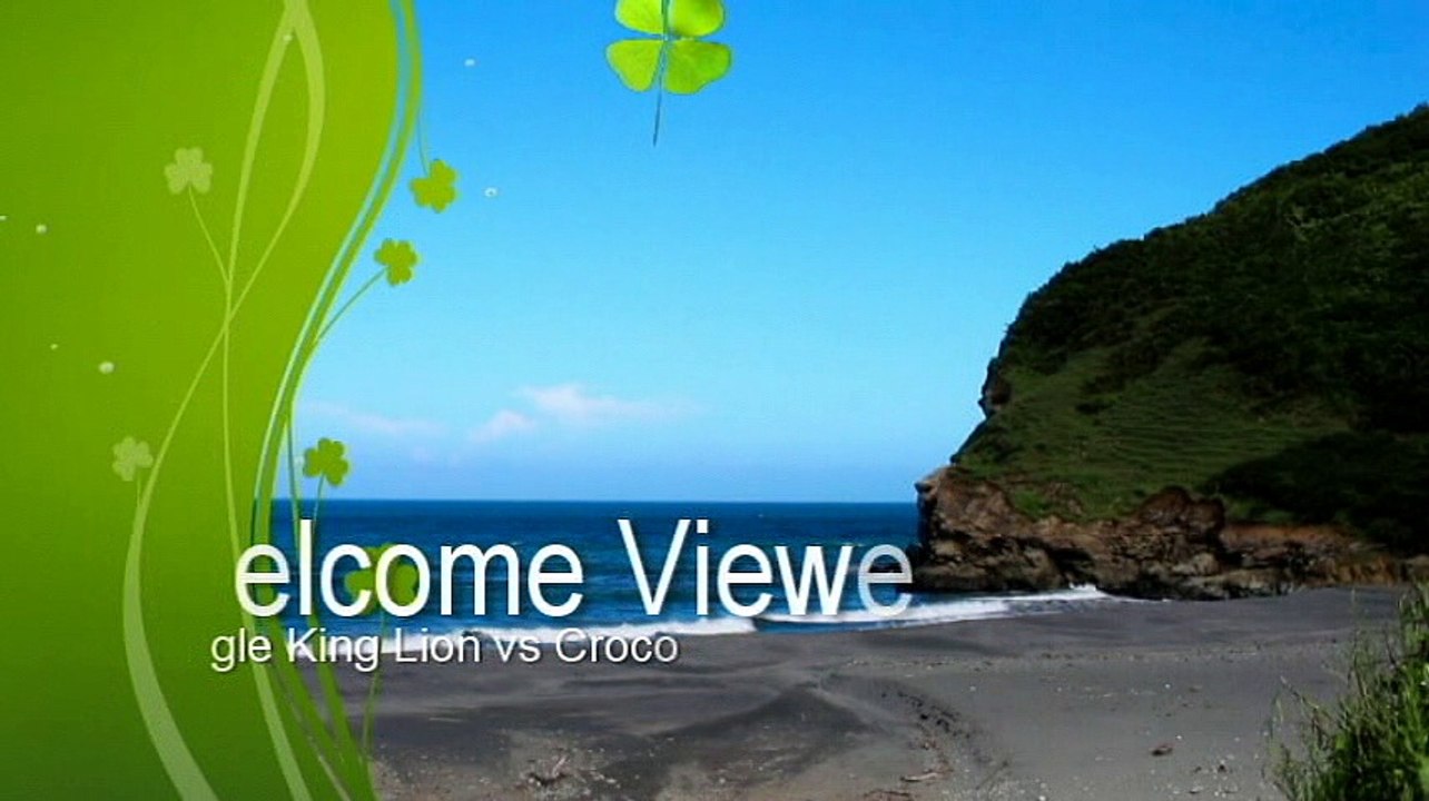 Croco vs zebra vs buffalo vs lion