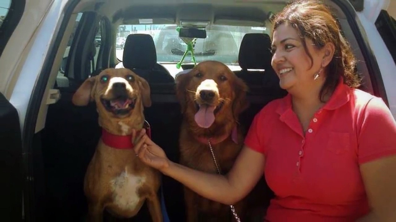 Dalia Gámez e boby