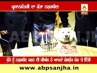 PM's dog detained for 10 days