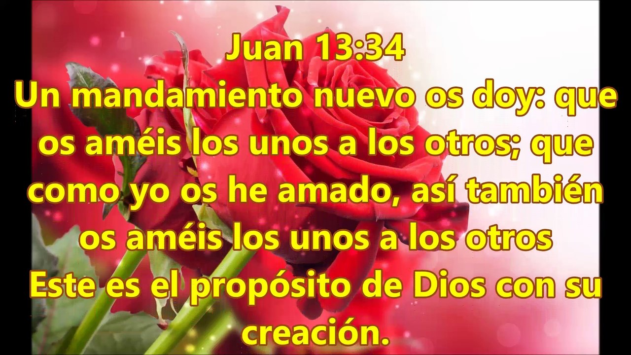 PROMESAS DE DIOS PARA HOY,03 Mayo,2016