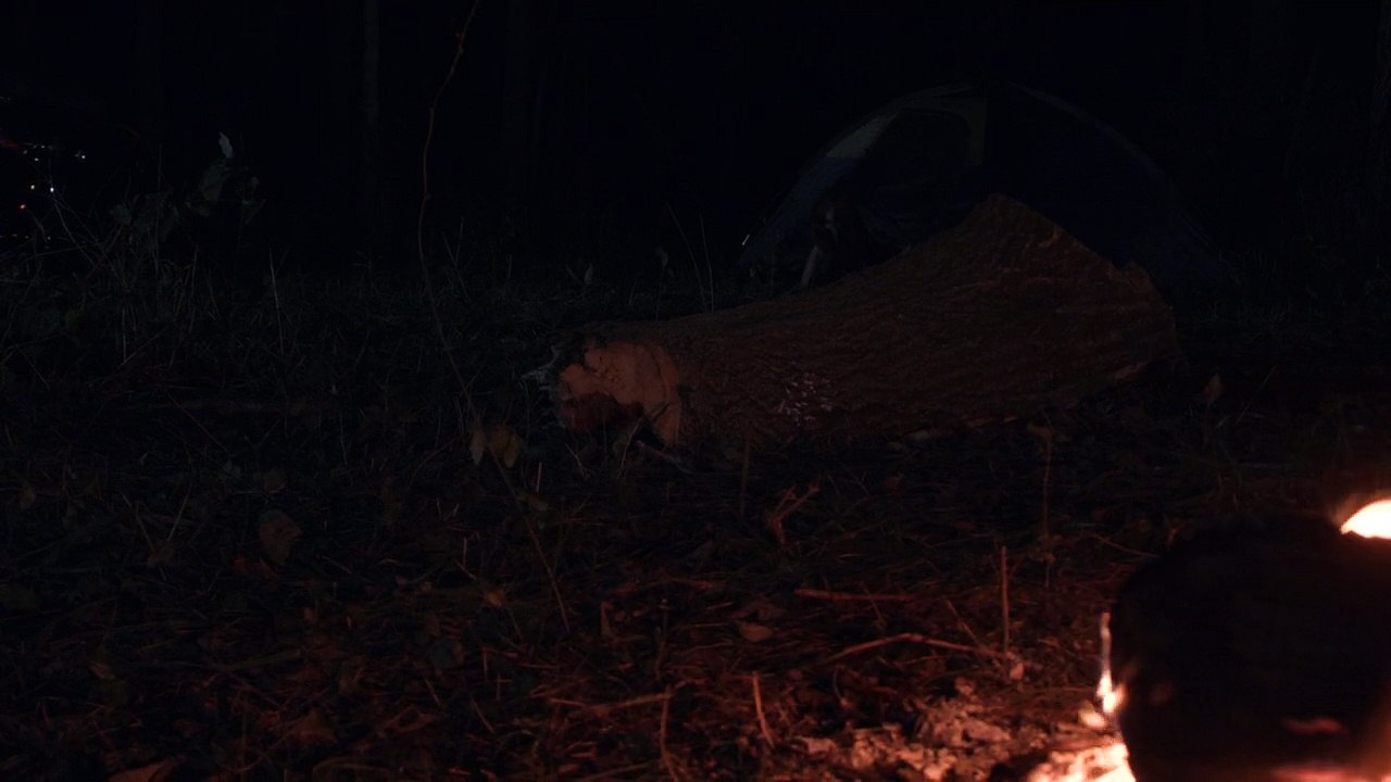 Don't F**k In The Woods - Teaser Trailer