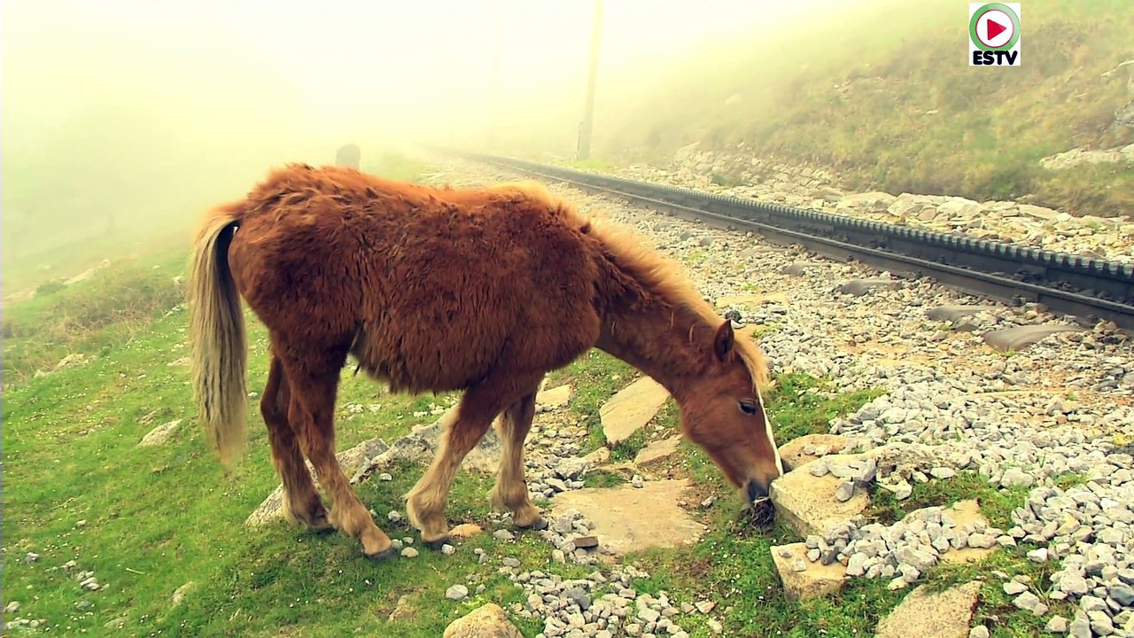 La Rhune: Le petit Train à crémaillere - Euskadi Surf TV